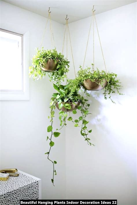 Beautiful Hanging Plants Indoor Decoration Ideas Pimphomee