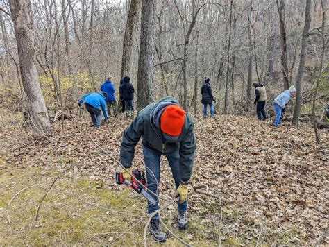 Invasive Species Management Training And Work Day Success Thanks To