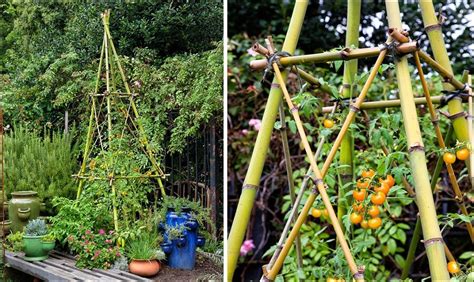How To Build A Bamboo Trellis 3 Diy Ideas To Try
