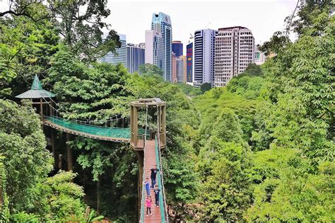 The 200m canopy walk provides a great view of kuala lumpur and the rainforest to its visitors. KL Forest Eco Park (Kuala Lumpur) - 2019 All You Need to ...
