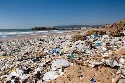 Plastic debris in the marine environment is widely documented, but the quantity of plastic entering the ocean from waste generated on land is unknown. If we don't change our ways, plastic in oceans will ...