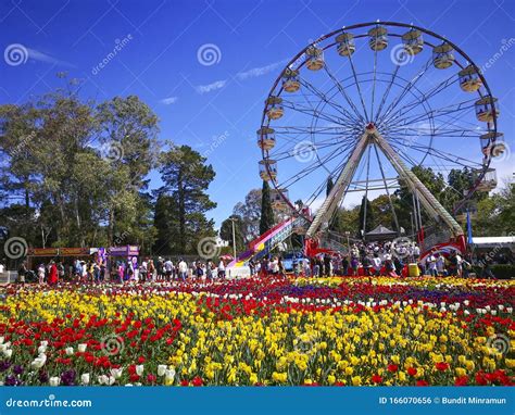 Ferris Wheel At Floriade Australiaâ€ S Biggest Celebration Of Spring