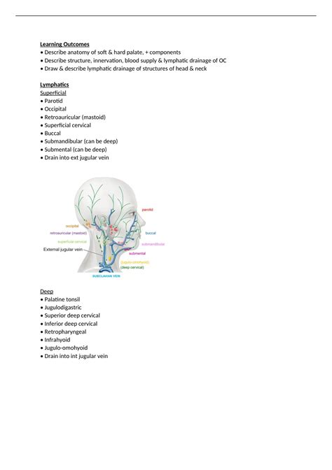 Anatomy Palate And Lymphatic Drainage Head And Neck Anatomy Stuvia Uk