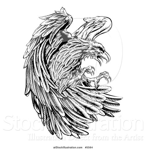 Vector Illustration Of A Fierce Black And White Eagle Attacking By