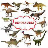 Dinosaur Fossil Types Images