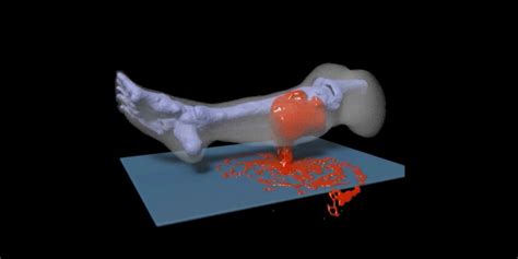 Model Simulates How A Gunshot Wound To The Leg Bleeds