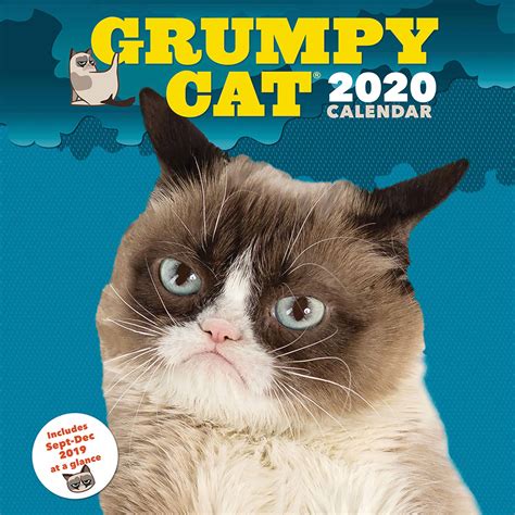Grumpy Cat Calendar 2020 At Calendar Club