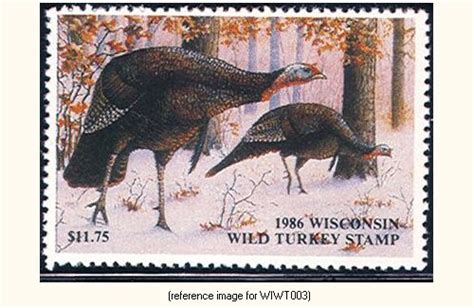 wisconsin wild turkey 1984 present summary