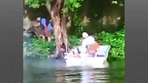 Donkey Falls 30 Feet Off Cliff Into Lake Found Alive 2 Days Later