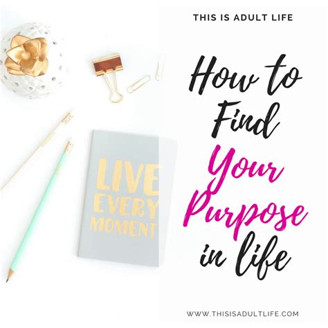 5 Steps To Help You Find Your Purpose In Life This Is Adult Life