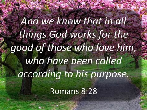 And We Know That In All Things God Works For The Good Of Those Who Love