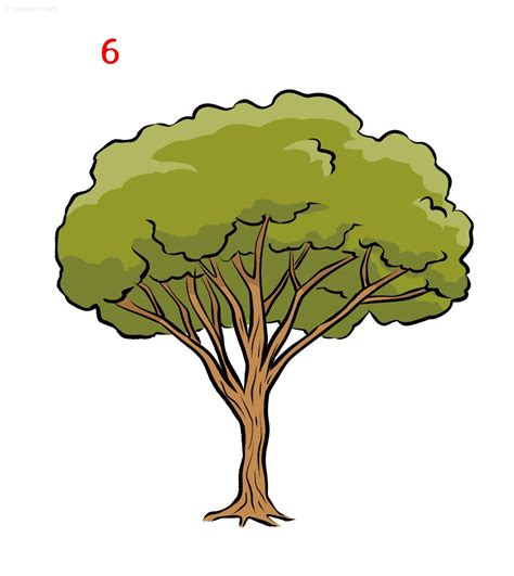Update 76 Tree Sketch In Eteachers