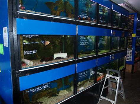 Retail Aquarium Shop Australian Business For Sale
