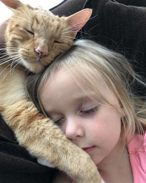Cats And Kids Tips For Keeping Both Safe Around Each Other Cattime