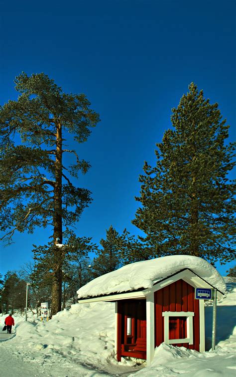 10 Unmissable Reasons To Visit Lapland Samí Land Anytime Travel On