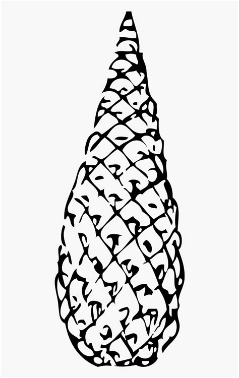 Pine Cone Coloring Page Hd Png Download Coloring Home