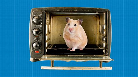 Using Microwave Ovens To Reanimate Hamsters In 1950s Ie