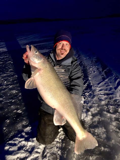 Giant Fort Peck Walleye Caught Through The Ice Montana Hunting And