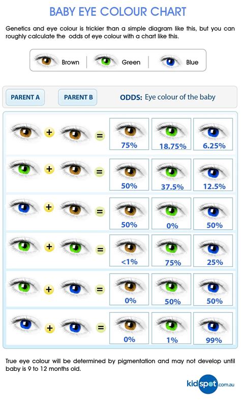 Facts About Eye Color Genetics Eye Color Chart Eye Color Chart All