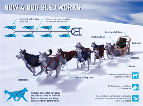 How A Dog Sled Works