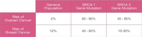 Brca1 And 2 The Cancer Gene Explained