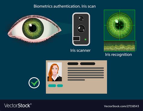 Iris Scan Biometric Authentication Method Vector Image