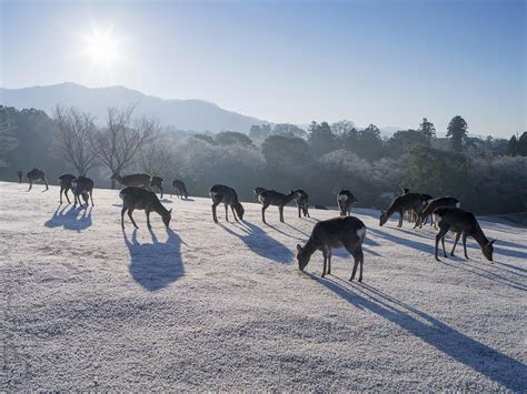 The 50 Most Beautiful Places In Asia Photos Condé Nast Traveler