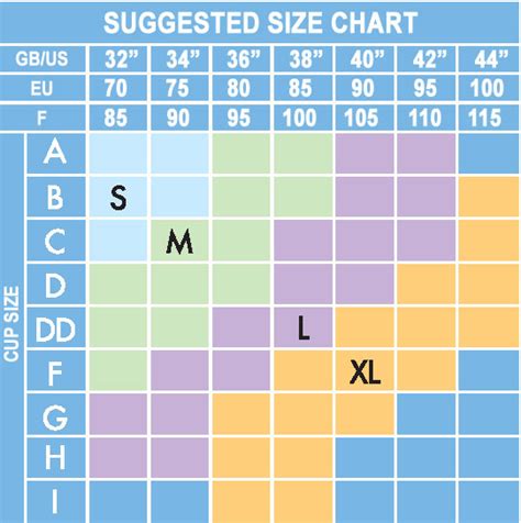 Bra sizes following the us sizing convention are based on measurements in inches. Bra Size Information-A Note on Bra Cup Sizes | Bra Size