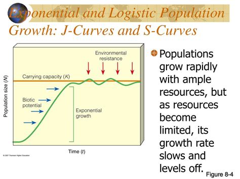 Ppt Human Population Dynamics Powerpoint Presentation Free Download