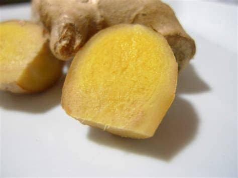 Se pueden usar infusiones del tubérculo se lava bien la raíz y se pela. El Jengibre en la cocina, usos y propiedades