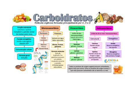Os Carboidratos Os Lipídios E As Proteínas Constituem Material Estrutural