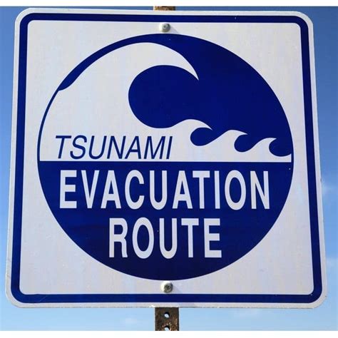 If a person notices strange or unusual behavior in animals, he/she can also take that as a warning and go inland. BC's January 2018 Tsunami Warning - An Aftermath Breakdown