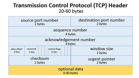 the most popular tcp and udp port numbers