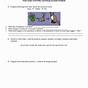 Food Webs And Food Chains Worksheet Answers Key