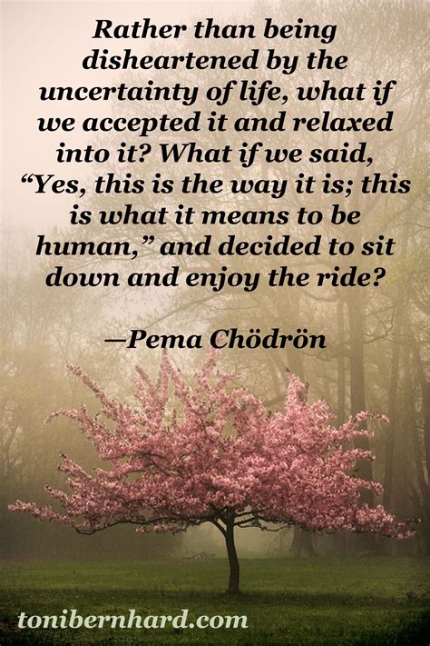 wisdom from pema chodron pema chodron quotes pema chodron quotes