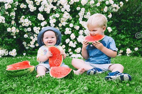 Funny Children Eating Watermelon On Nature At Summer Stock Image