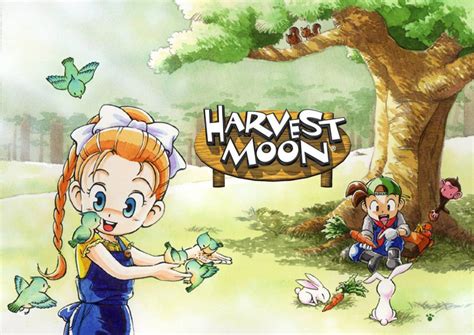 Harvest Moon Ds Tips And Tricks Moonieverse