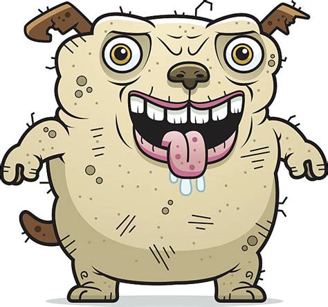 Best Ugly Dog Illustrations Royalty Free Vector Graphics And Clip Art