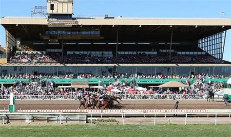 Live Horse Racing Returns To Phoenixs Turf Paradise In January