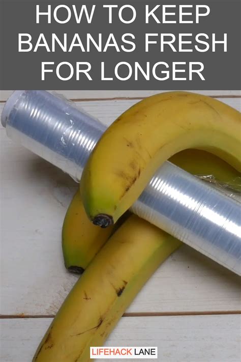 Turnip greens are a traditional southern food favorite, the greens feature an edible root and taste best when cooked within a few days of picking. Kitchen Hack: How To Keep Bananas Fresh For Longer in 2020 ...