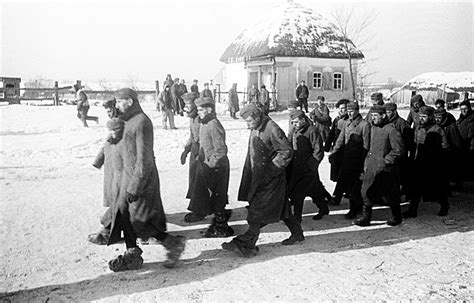 The Battle Of Stalingrad A Column Of German Prisoners Of War On The