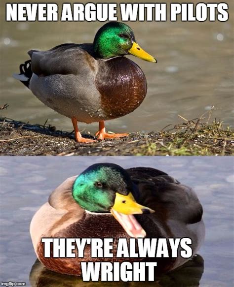 Bad Pun Duck Memes Imgflip