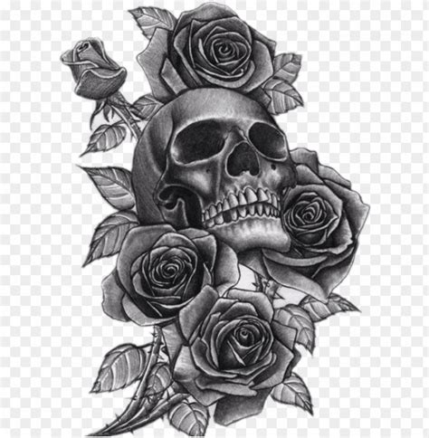 Download Eck Tattoo Png Clip Art Library Stock Skull And