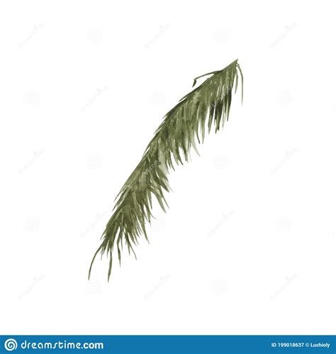 Palm Branches Isolated On A White Background Stock Illustration