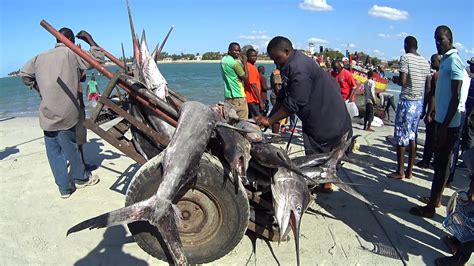 Dar Es Salaam Fish Market Youtube