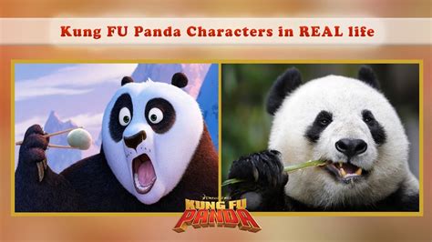 Best Video Of Kung Fu Panda Real Life Characters Po Tigress Shen