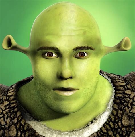 Is Shrek Beautiful Rmakemesuffer
