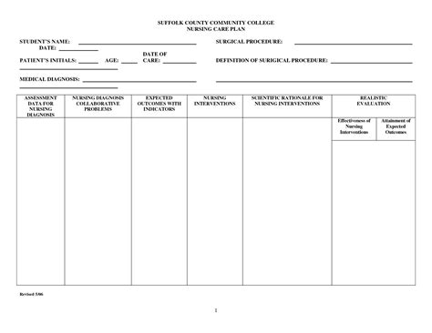 Blank Nursing Care Plan Template Lovely Image Result For Blank Nursing