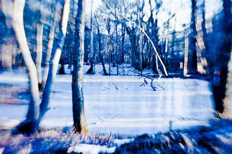 Frozen Forest Lake Stock Image Image Of Lensbaby Blue 43349039