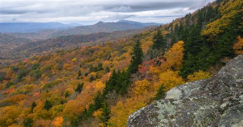 Experts Predict Great Fall Foliage In The Carolinas